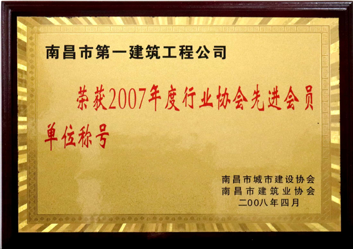 2008.4 2007年度行业协会先进会员单位称号.jpg